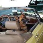 Claire enjoys the car but lets me drive