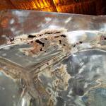 view from underneath